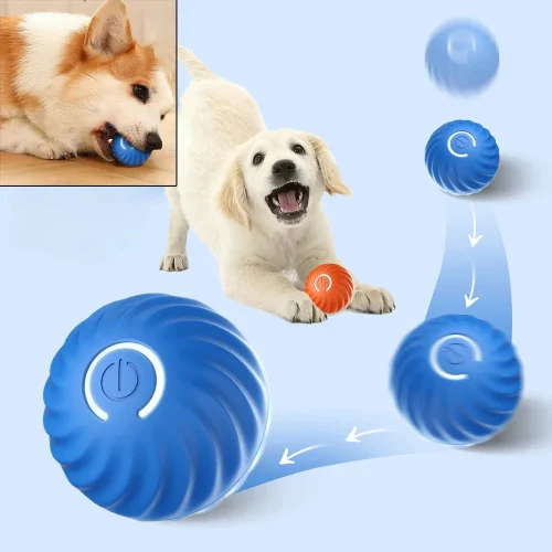 Automatic Moving Ball for Dogs